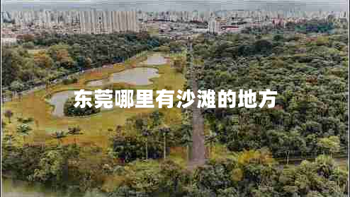 東莞哪里有沙灘的地方 東莞哪里有沙灘的地方