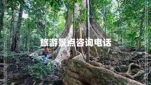 旅游景點(diǎn)咨詢電話