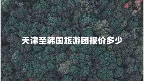 天津至韓國旅游團報價多少