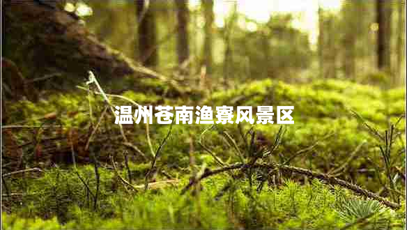 溫州蒼南漁寮風景區(qū)