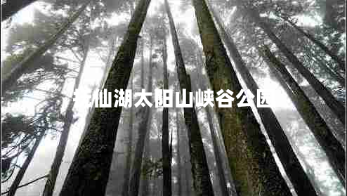 撫仙湖太陽山峽谷公園