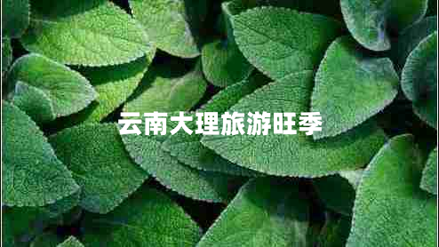 云南大理旅游旺季 云南大理旅游旺季