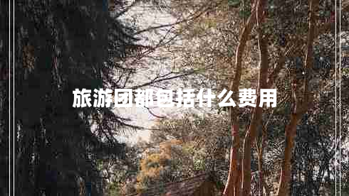 旅游團(tuán)都包括什么費(fèi)用