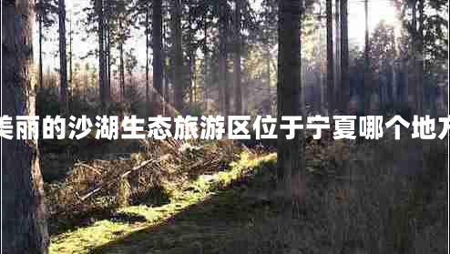 美麗的沙湖生態(tài)旅游區(qū)位于寧夏哪個地方