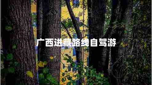 廣西進藏路線自駕游