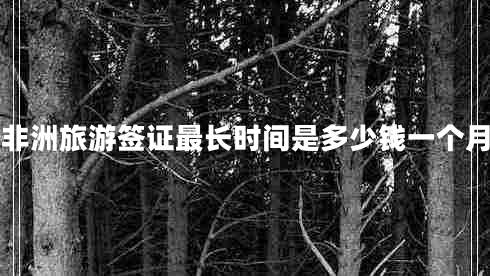 非洲旅游簽證最長(zhǎng)時(shí)間是多少錢(qián)一個(gè)月