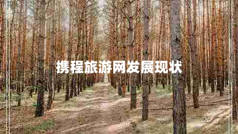 攜程旅游網發(fā)展現狀
