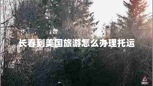 長春到美國旅游怎么辦理托運(yùn)