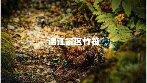 漓江景區(qū)竹筏 漓江景區(qū)竹筏