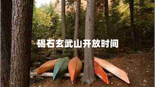 碣石玄武山開放時間