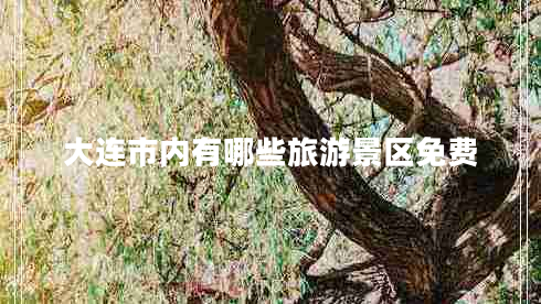 大連市內(nèi)有哪些旅游景區(qū)免費(fèi) 大連市內(nèi)有哪些旅游景區(qū)免費(fèi)