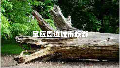 寶應(yīng)周邊城市旅游