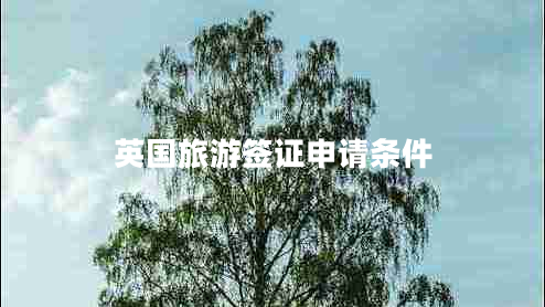 英國(guó)旅游簽證申請(qǐng)條件