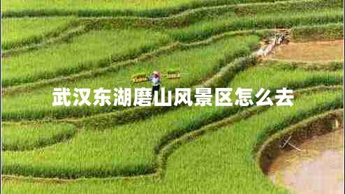 武漢東湖磨山風景區(qū)怎么去