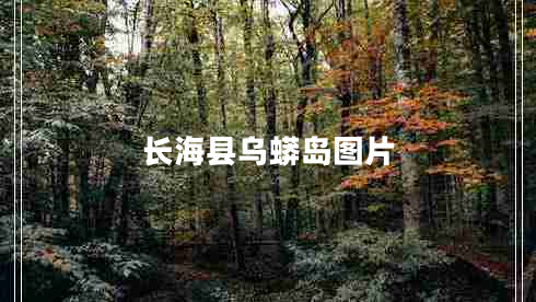 長(zhǎng)海縣烏蟒島圖片