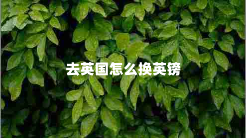 去英國(guó)怎么換英鎊