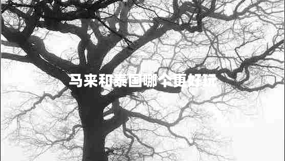 馬來和泰國哪個更好玩
