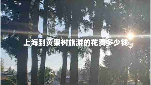 上海到黃果樹(shù)旅游的花費(fèi)多少錢(qián)