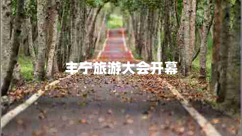 豐寧旅游大會(huì)開(kāi)幕