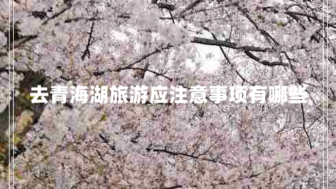 去青海湖旅游應(yīng)注意事項有哪些