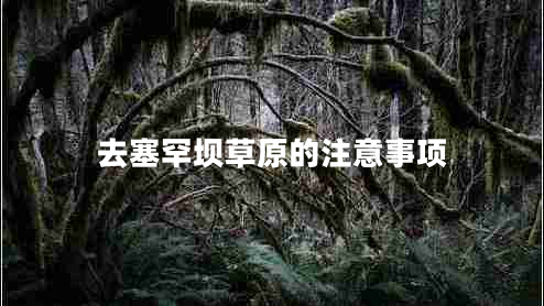 去塞罕壩草原的注意事項(xiàng)