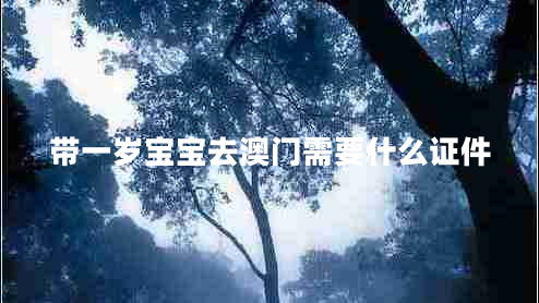 帶一歲寶寶去澳門需要什么證件 帶一歲寶寶去澳門需要什么證件