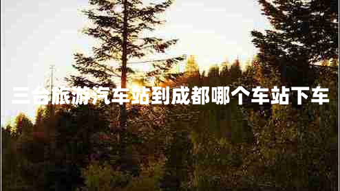 三臺(tái)旅游汽車站到成都哪個(gè)車站下車