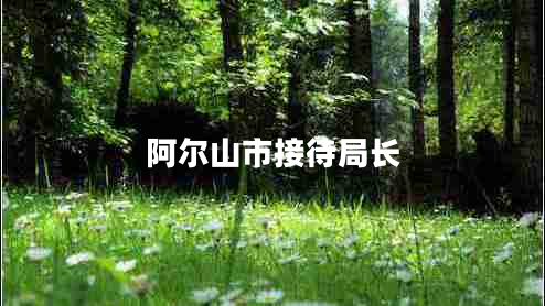 阿爾山市接待局長