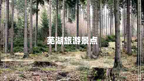 蕪湖旅游景點