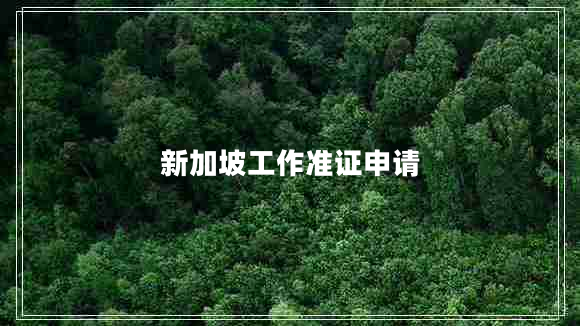 新加坡工作準(zhǔn)證申請