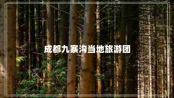 成都九寨溝當?shù)芈糜螆F