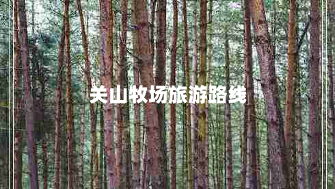 關(guān)山牧場旅游路線