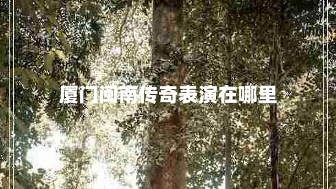 廈門閩南傳奇表演在哪里