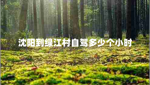 沈陽到綠江村自駕多少個(gè)小時(shí)