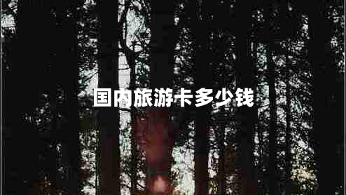 國(guó)內(nèi)旅游卡多少錢(qián)