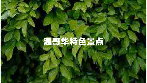 溫哥華特色景點