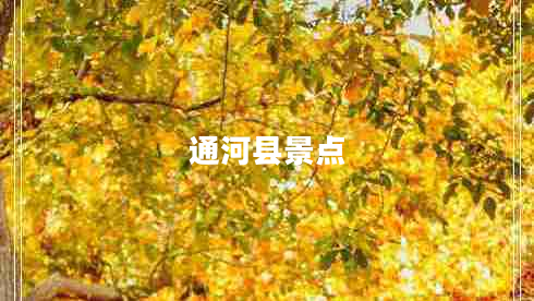 通河縣景點