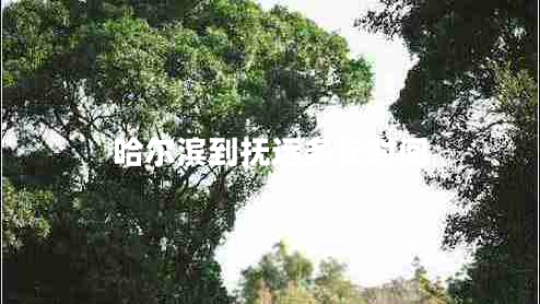 哈爾濱到撫遠(yuǎn)多長時(shí)間