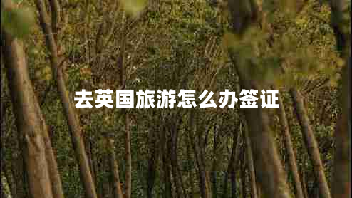 去英國(guó)旅游怎么辦簽證