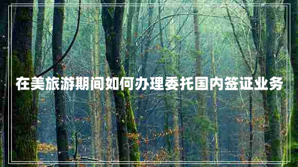 在美旅游期間如何辦理委托國(guó)內(nèi)簽證業(yè)務(wù)