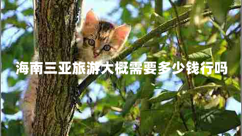 海南三亞旅游大概需要多少錢行嗎