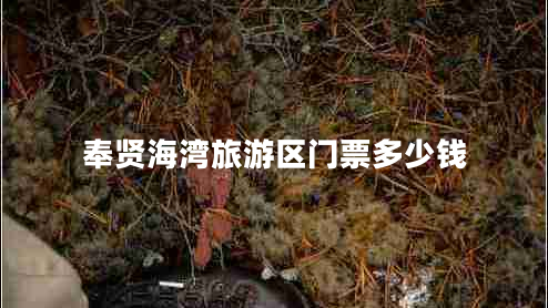 奉賢海灣旅游區(qū)門(mén)票多少錢(qián)