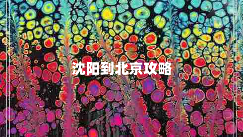 沈陽到北京攻略
