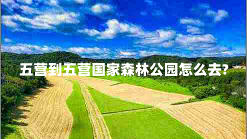 五營到五營國家森林公園怎么去?