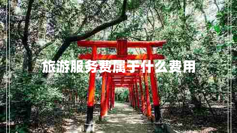 旅游服務(wù)費(fèi)屬于什么費(fèi)用