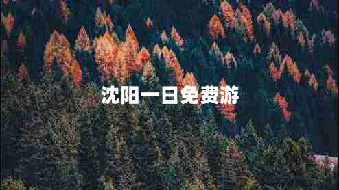 沈陽一日免費游 沈陽一日免費游