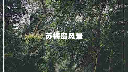 蘇梅島風(fēng)景