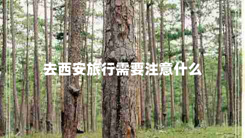 去西安旅行需要注意什么 去西安旅行需要注意什么