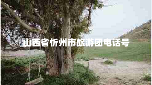 山西省忻州市旅游團電話號