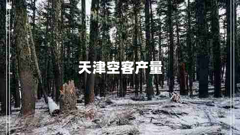 天津空客產量